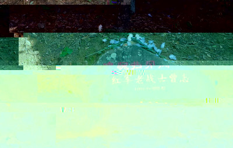 27.jpg